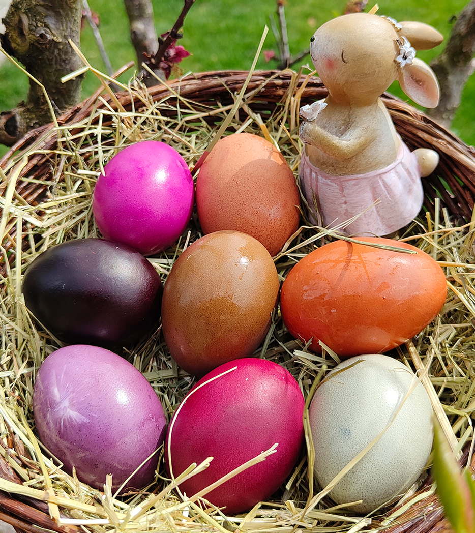 Ostereier färben mit natürlichen Farben